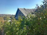 IMG_20250930_104113