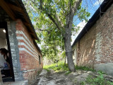 IMG_6526