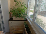 IMG_20260704_082012