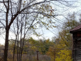 IMG-20251026-WA0006