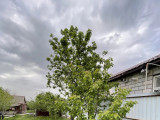 IMG_20260520_202543_729
