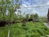 IMG_20260520_202543_841