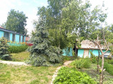 баня