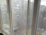 IMG_20221110_104503