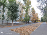 IMG_20241014_164403