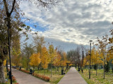 Сквер