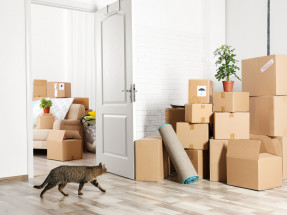 The-Ultimate-Moving-Checklist