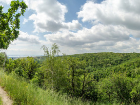 field