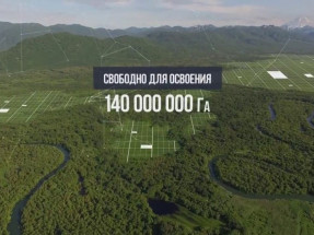дальневосточный гектар